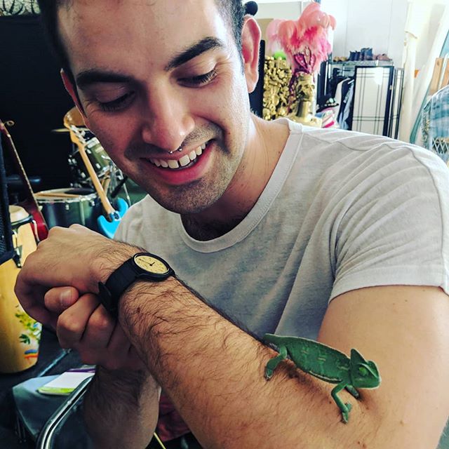 Daniel and the Chameleon