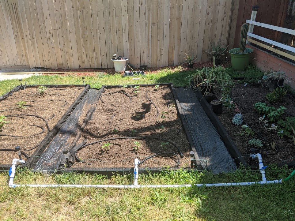 Raised Bed Gardens and Water Distribution