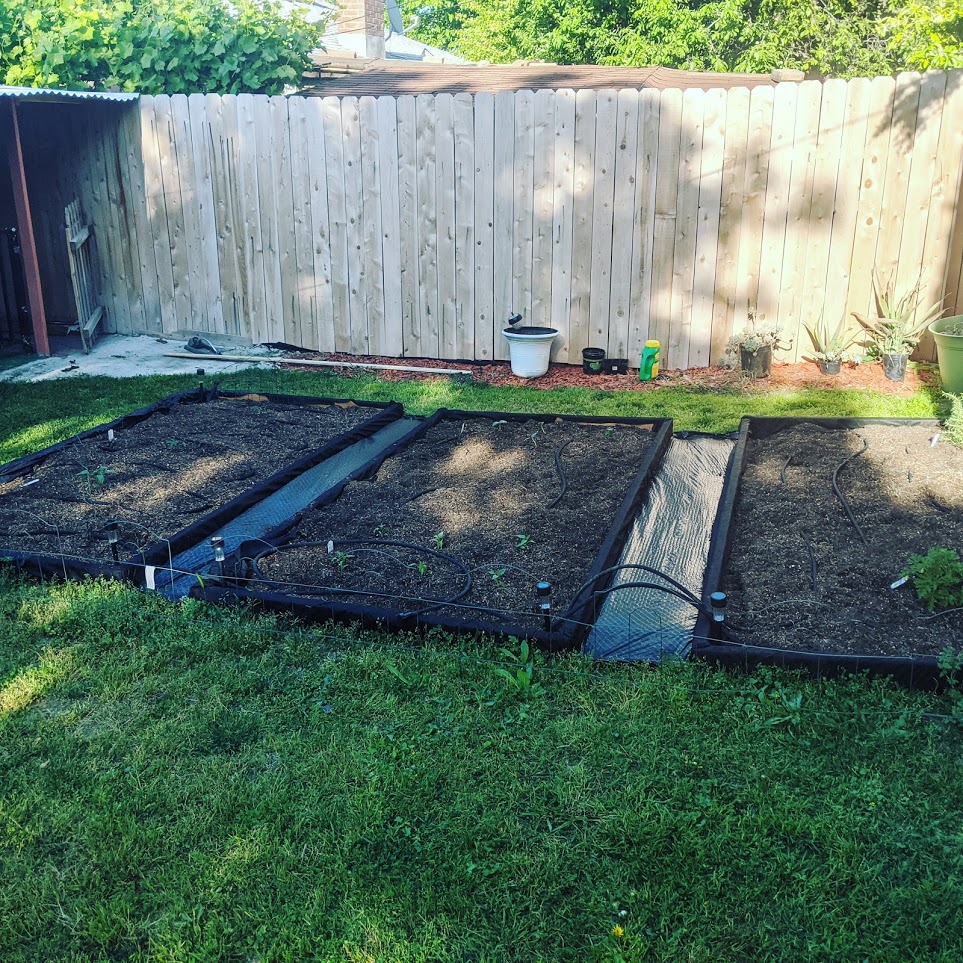 raised bed gardens complete